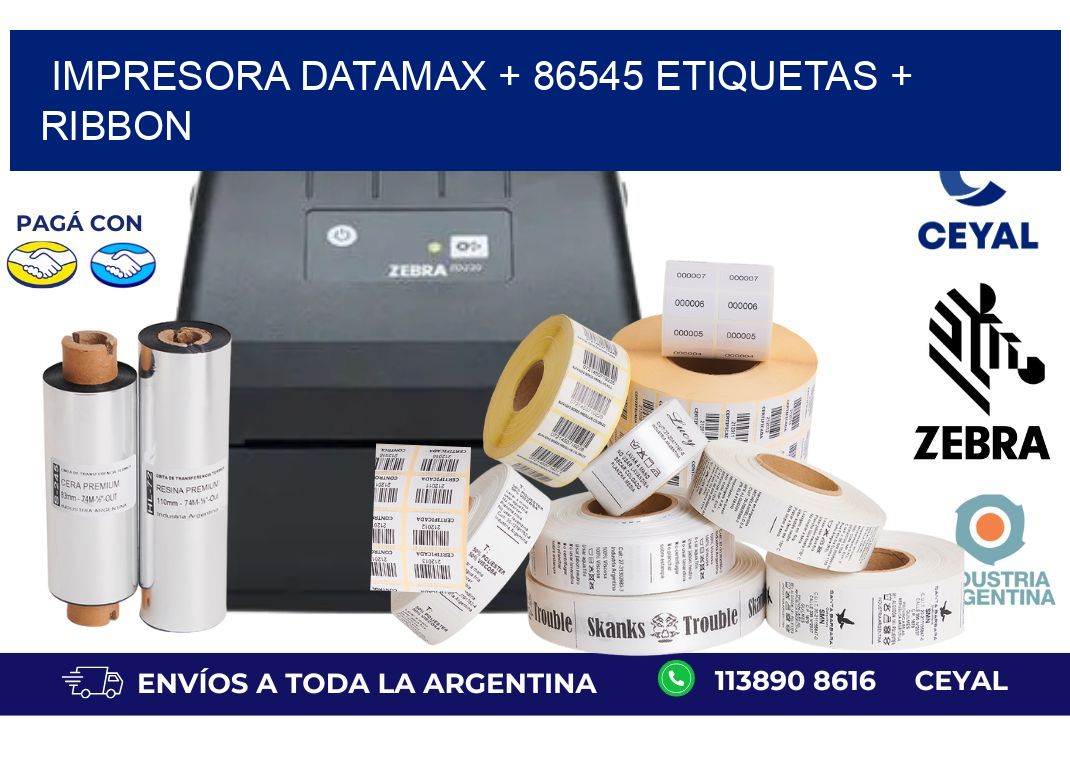 impresora DATAMAX + 86545 etiquetas + ribbon
