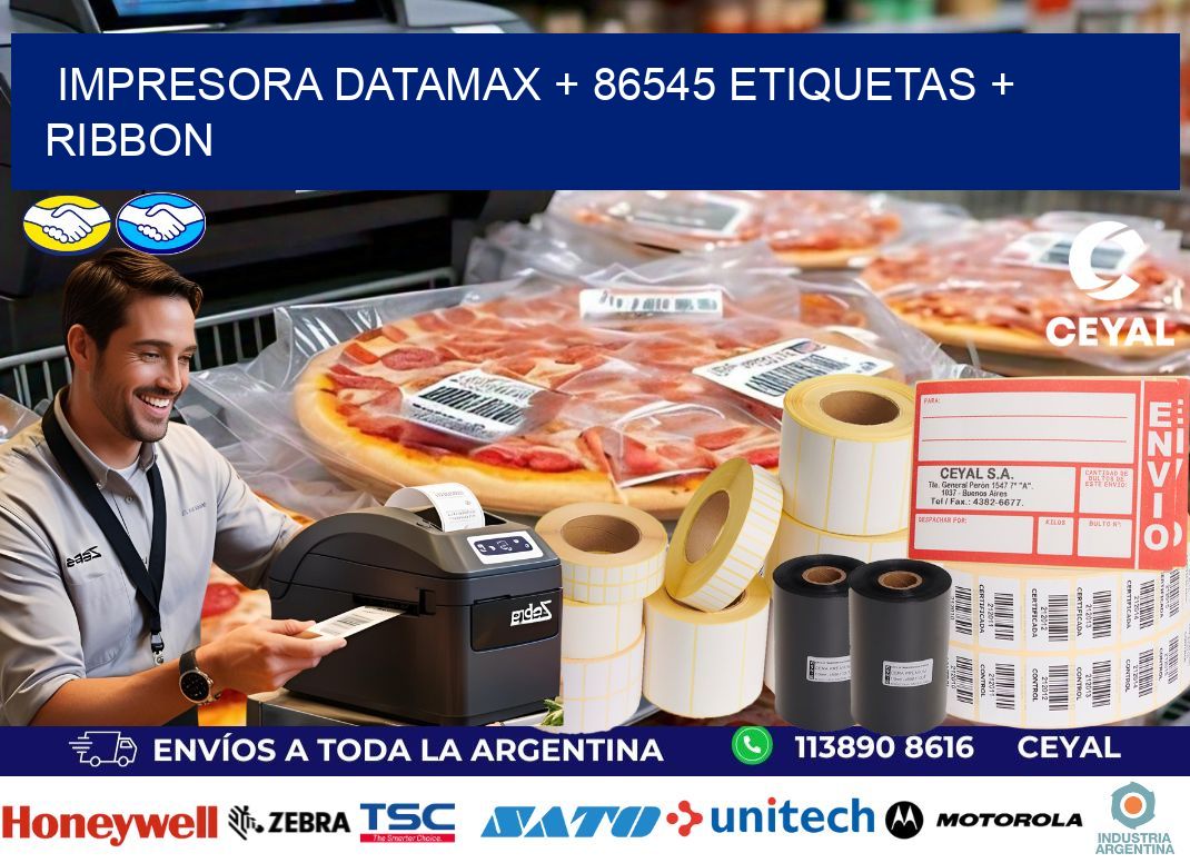 impresora DATAMAX + 86545 etiquetas + ribbon