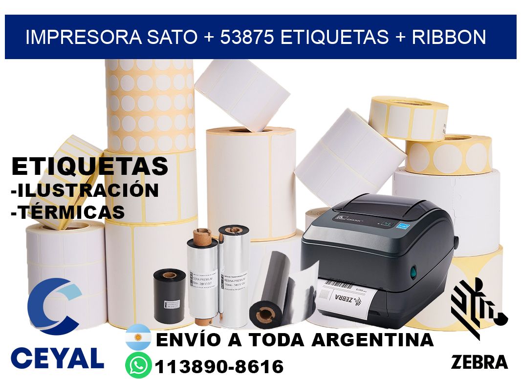 impresora SATO + 53875 etiquetas + ribbon