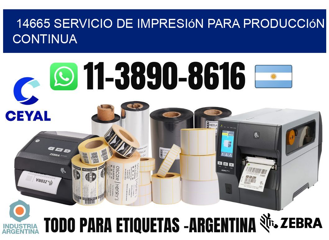 14665 Servicio de impresión para producción continua