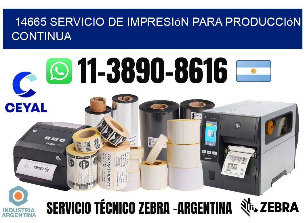 14665 Servicio de impresión para producción continua