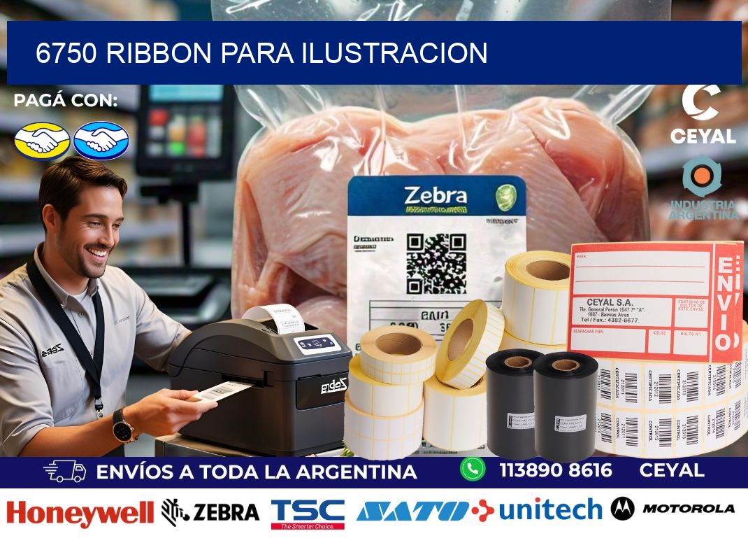 6750 ribbon para ilustracion