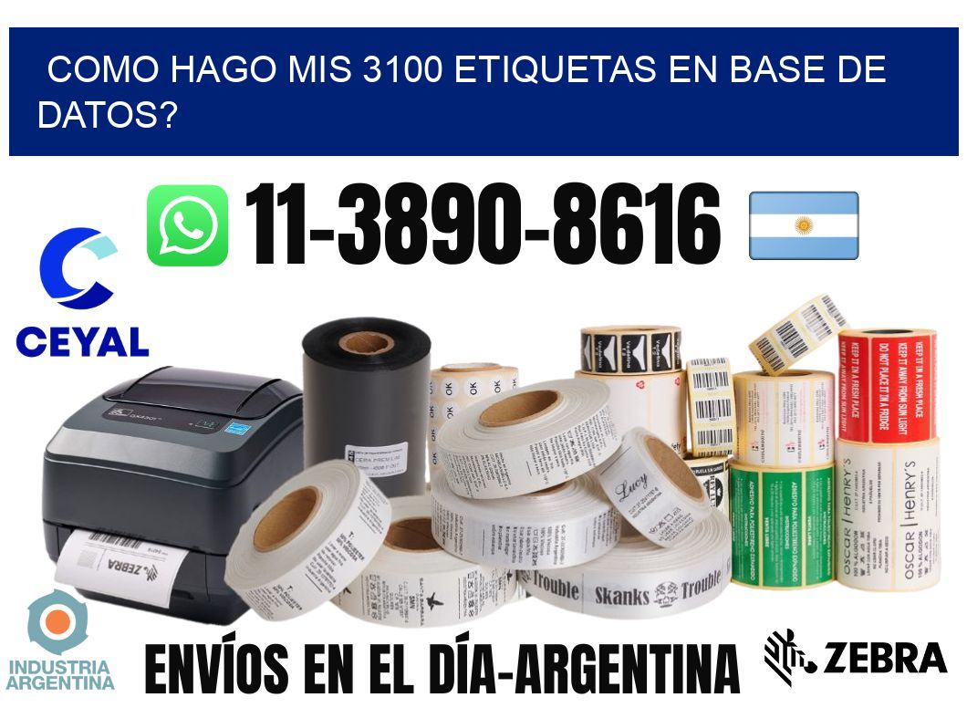 como hago mis 3100 etiquetas en base de datos?