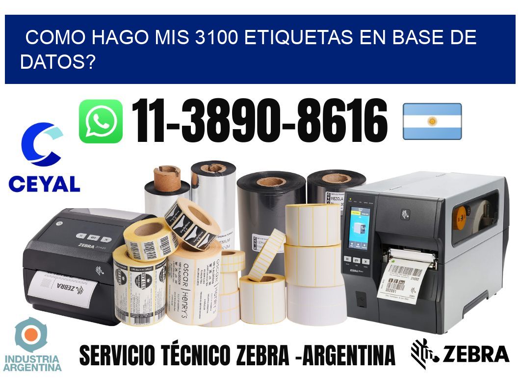 como hago mis 3100 etiquetas en base de datos?