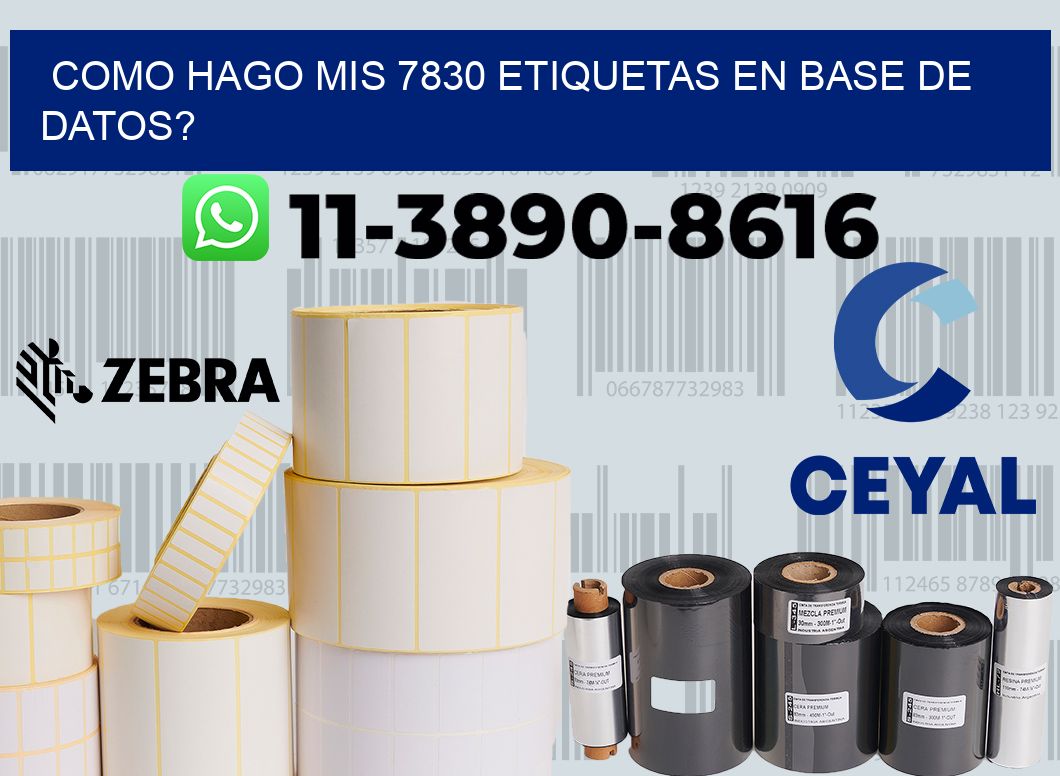 como hago mis 7830 etiquetas en base de datos?