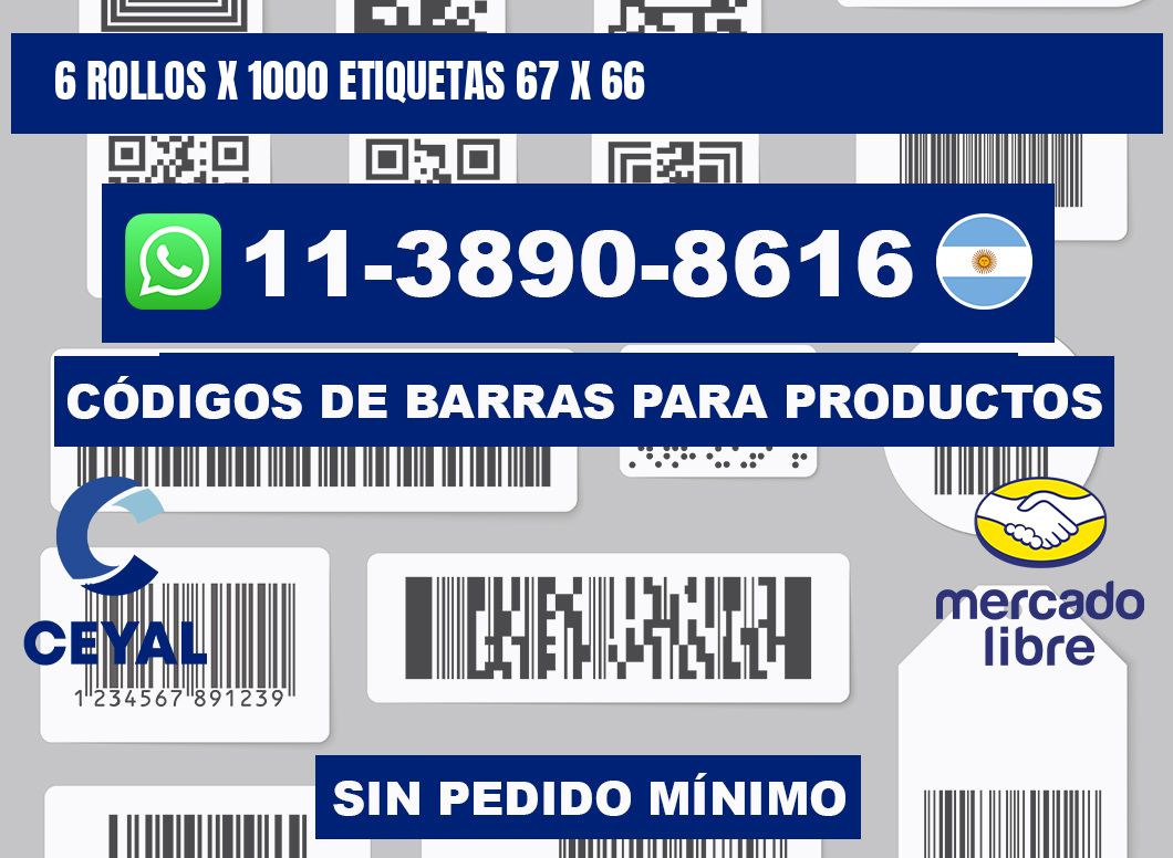 6 rollos x 1000 etiquetas 67 x 66