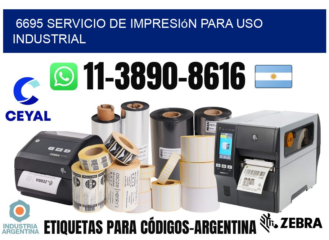 6695 Servicio de impresión para uso industrial