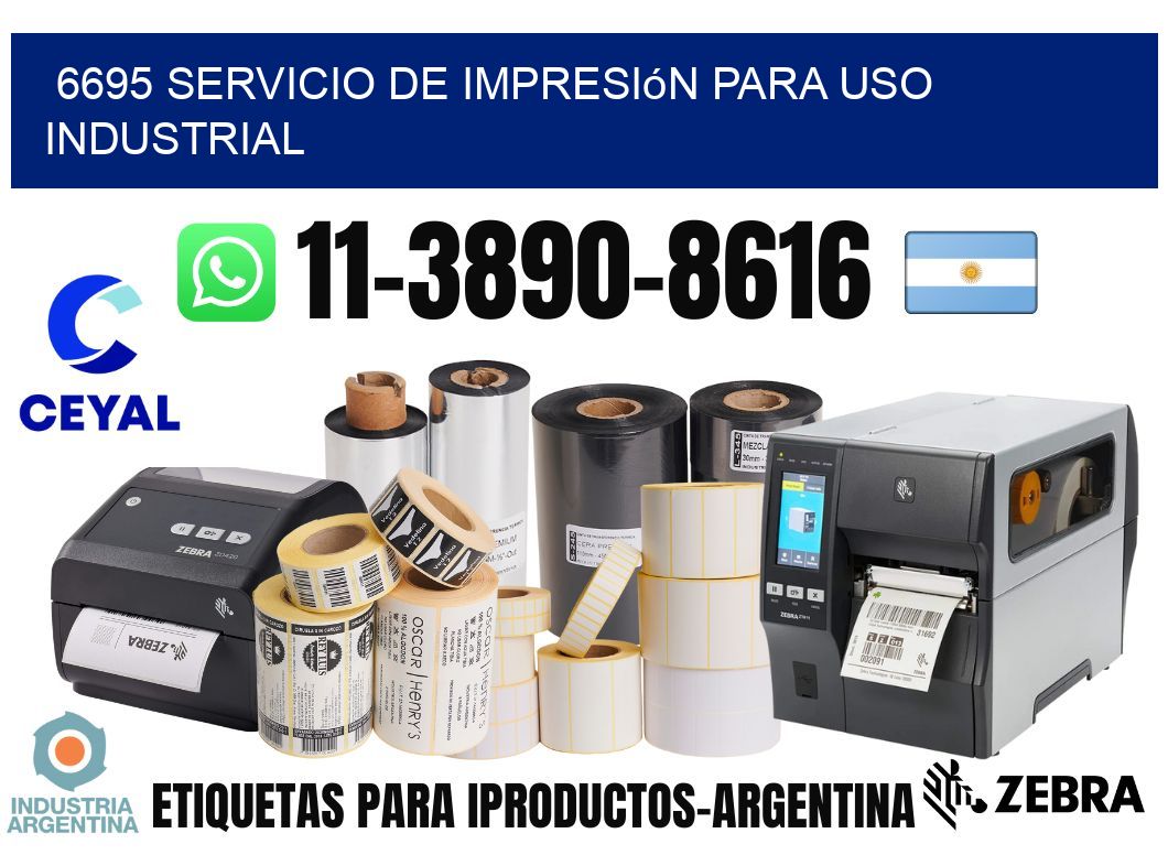 6695 Servicio de impresión para uso industrial
