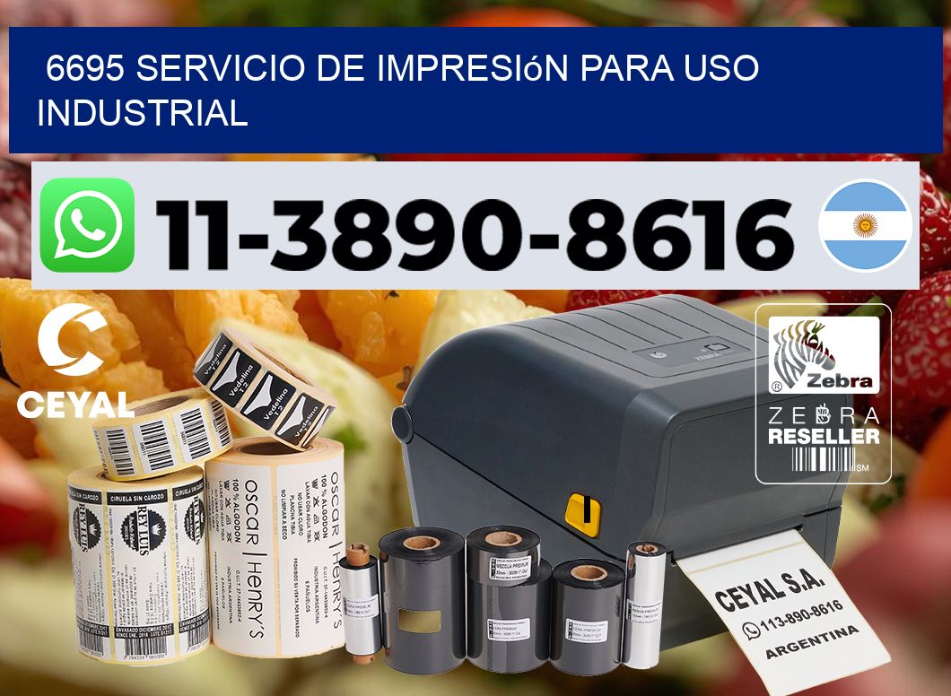 6695 Servicio de impresión para uso industrial