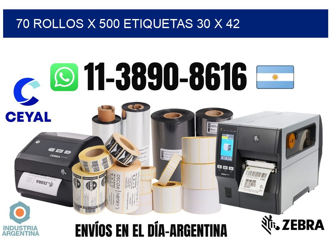 70 rollos x 500 etiquetas 30 x 42