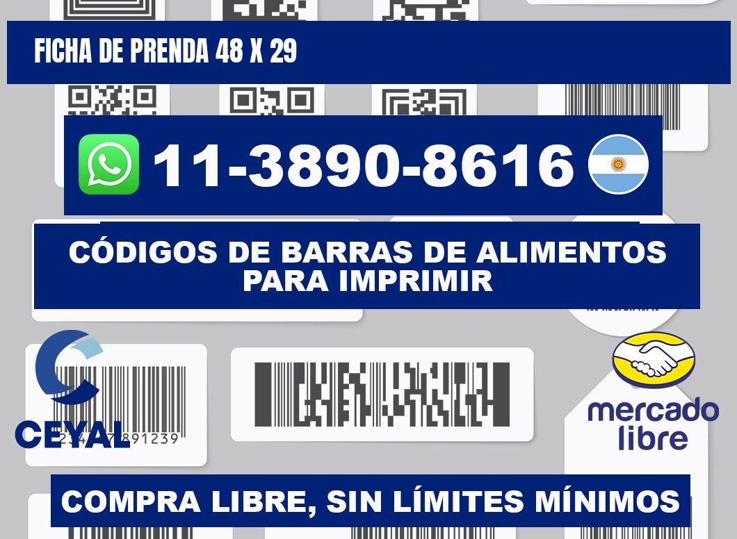 Ficha de prenda 48 x 29