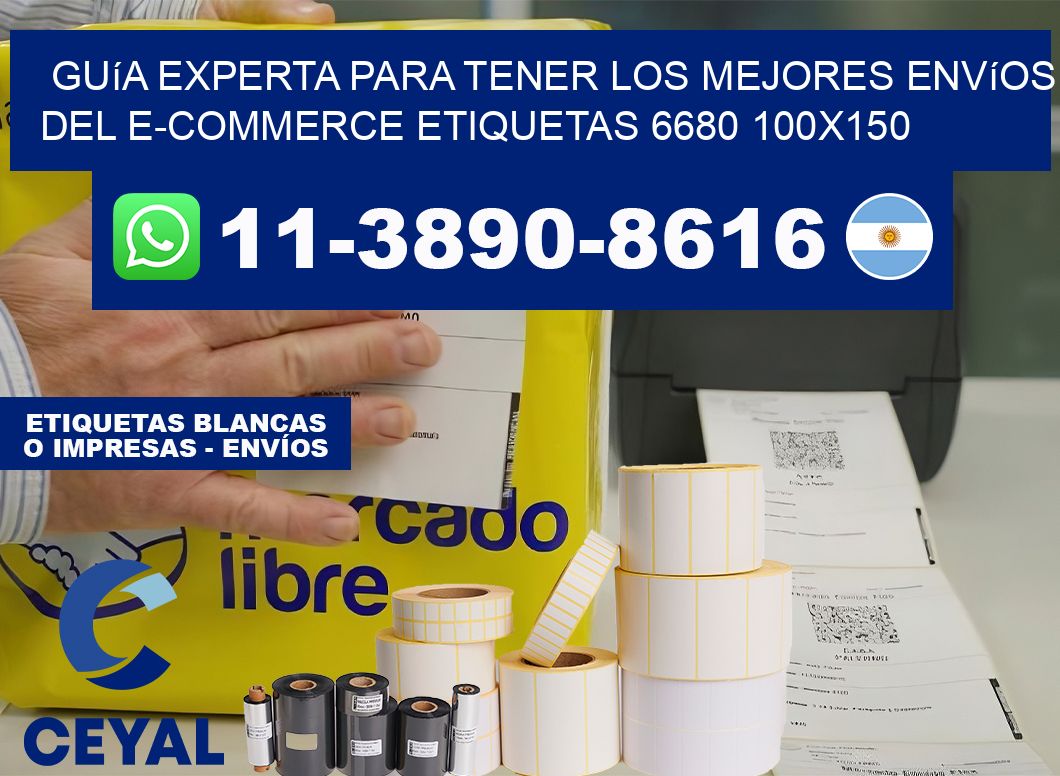 Guía experta para tener los mejores envíos del e-commerce etiquetas 6680 100×150
