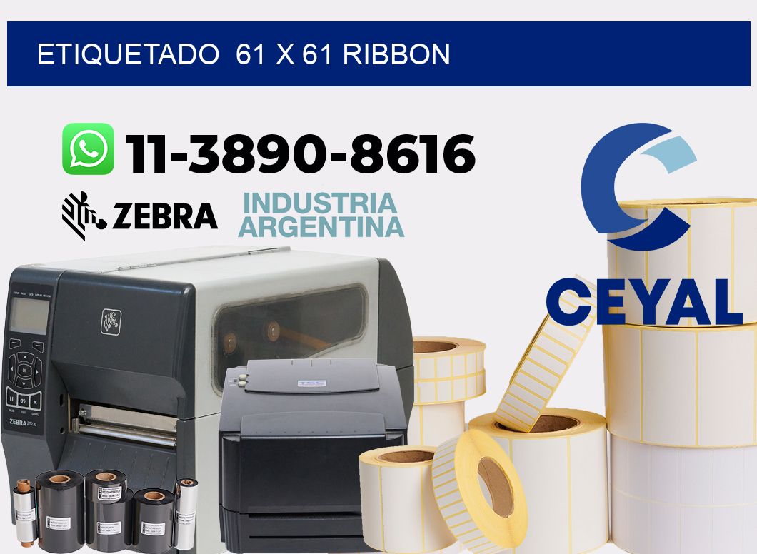Etiquetado 61 x 61 ribbon
