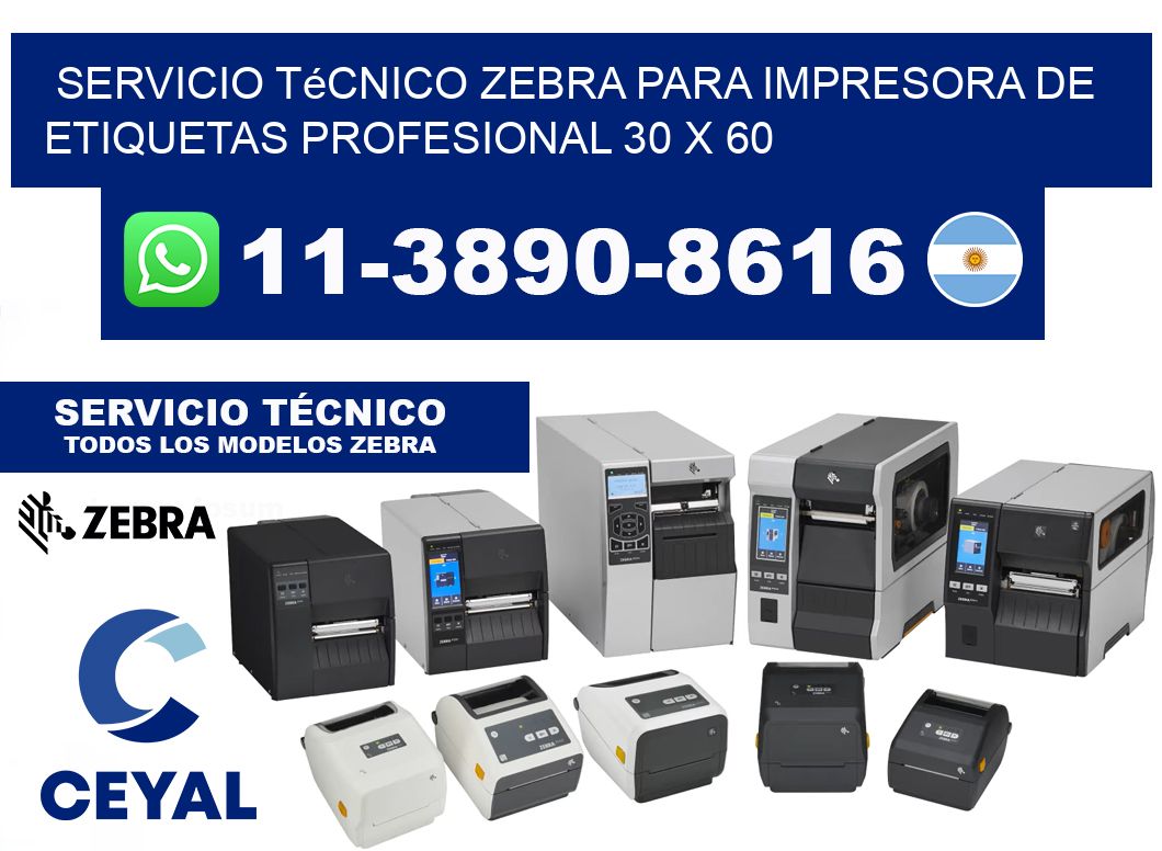 Servicio Técnico Zebra para Impresora de Etiquetas Profesional 30 x 60