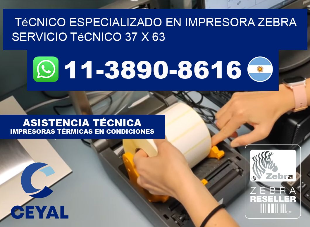 Técnico Especializado en Impresora Zebra Servicio Técnico 37 x 63