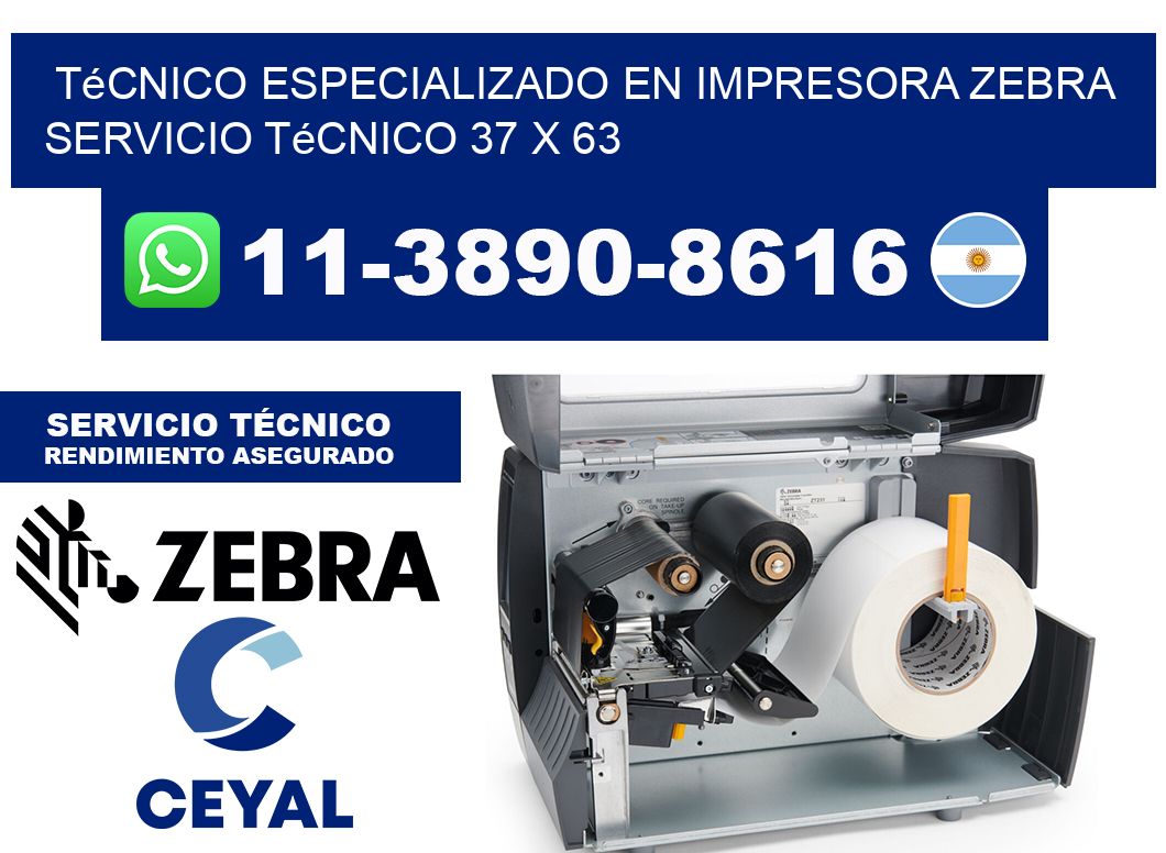 Técnico Especializado en Impresora Zebra Servicio Técnico 37 x 63