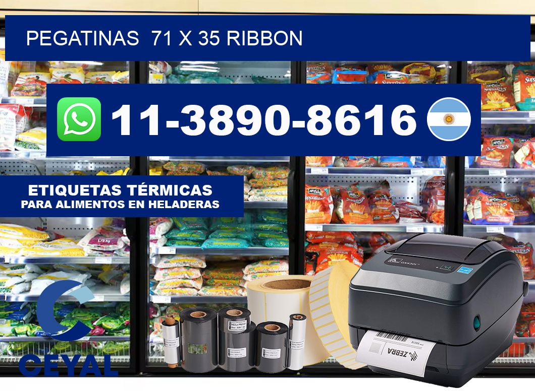 pegatinas  71 x 35 ribbon