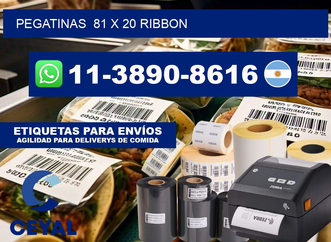 pegatinas  81 x 20 ribbon