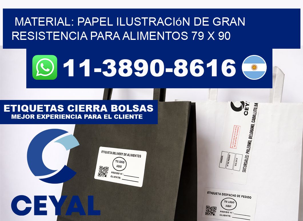 Material: papel ilustración de gran resistencia para alimentos 79 x 90