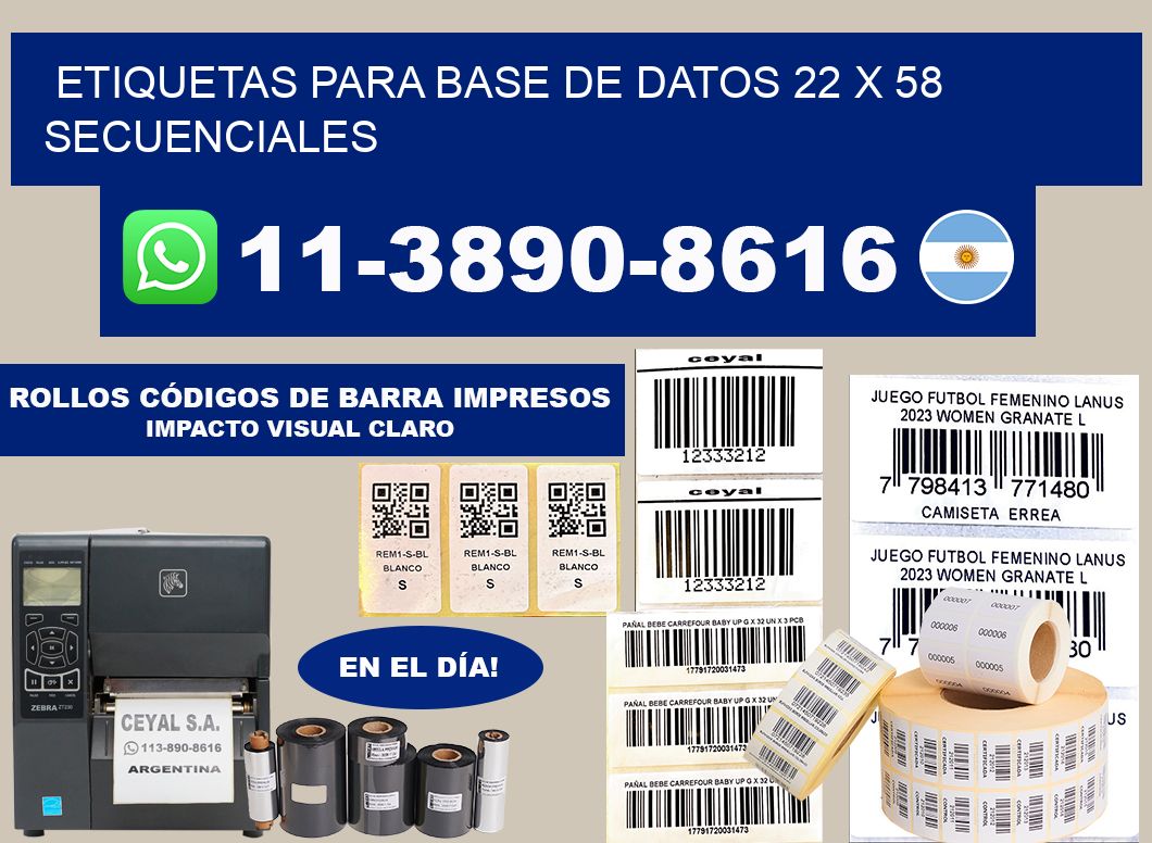 etiquetas para base de datos 22 x 58 secuenciales