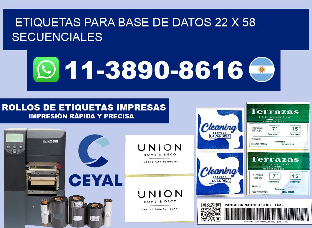 etiquetas para base de datos 22 x 58 secuenciales