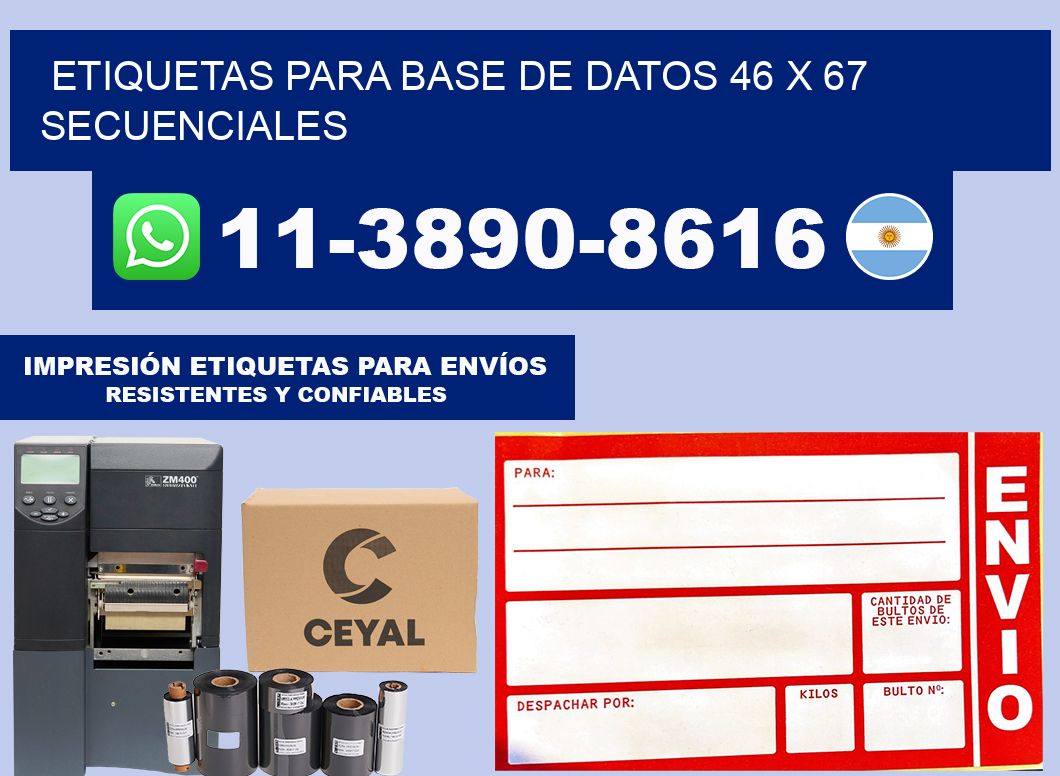 etiquetas para base de datos 46 x 67 secuenciales