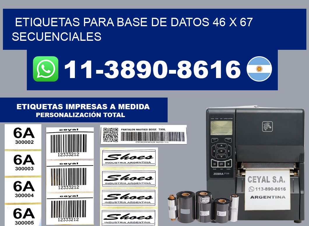 etiquetas para base de datos 46 x 67 secuenciales