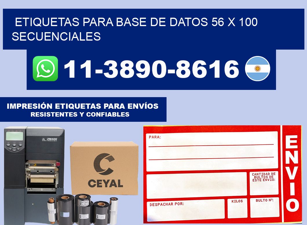etiquetas para base de datos 56 x 100 secuenciales