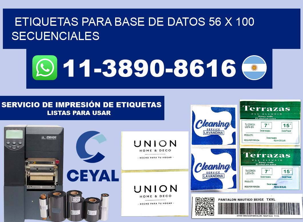 etiquetas para base de datos 56 x 100 secuenciales
