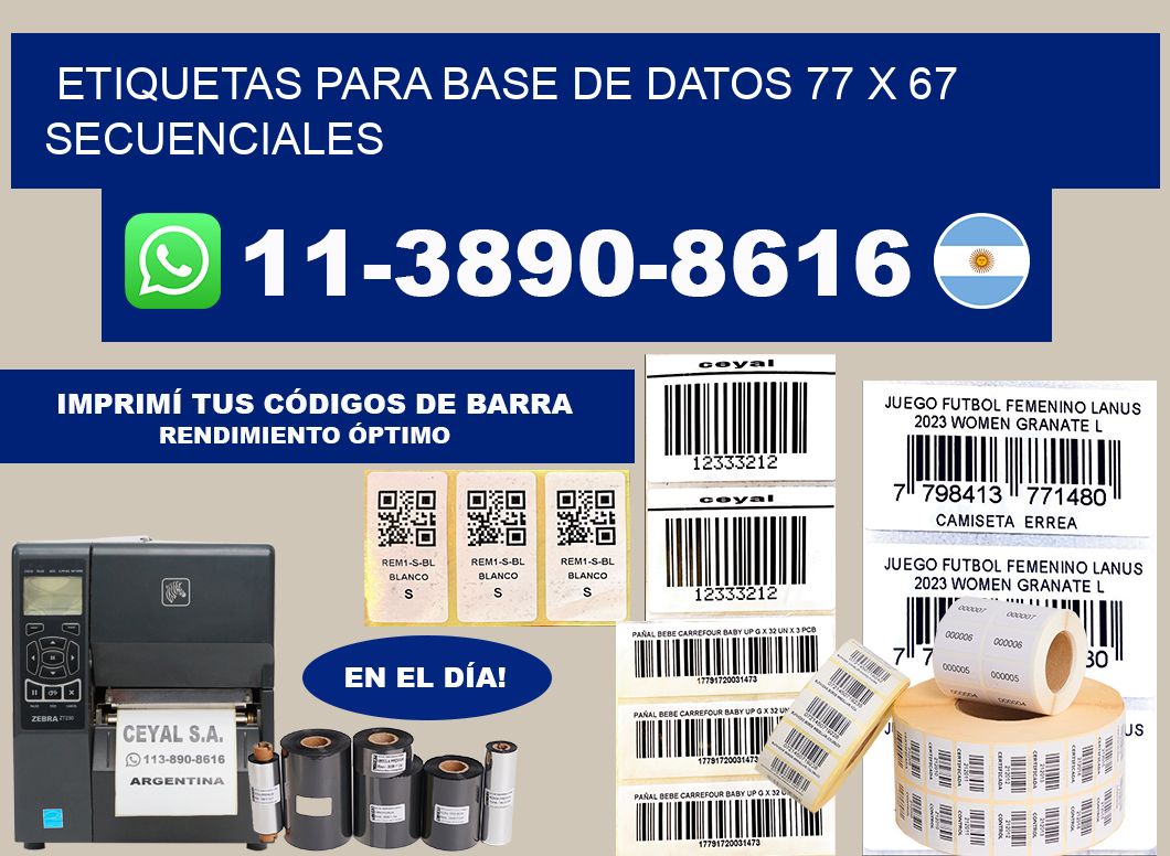 etiquetas para base de datos 77 x 67 secuenciales