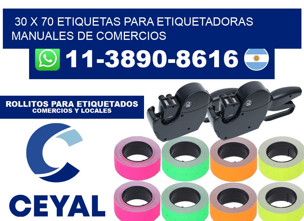 30 x 70 etiquetas para etiquetadoras manuales de comercios